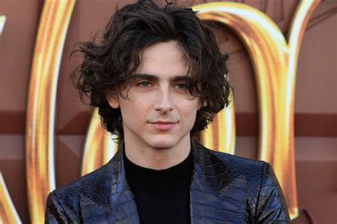 What I Saw at the Timothée Chalamet Lookalike Competition